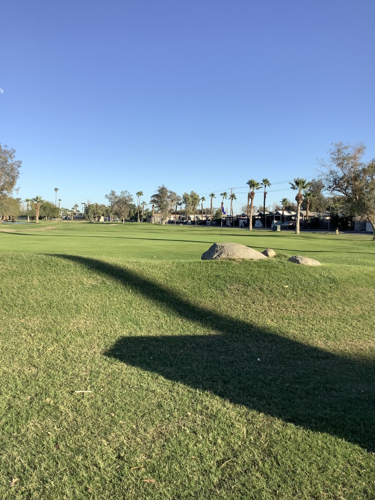 Green grassy park with shadows under a clear blue sky, palm trees in the distance.