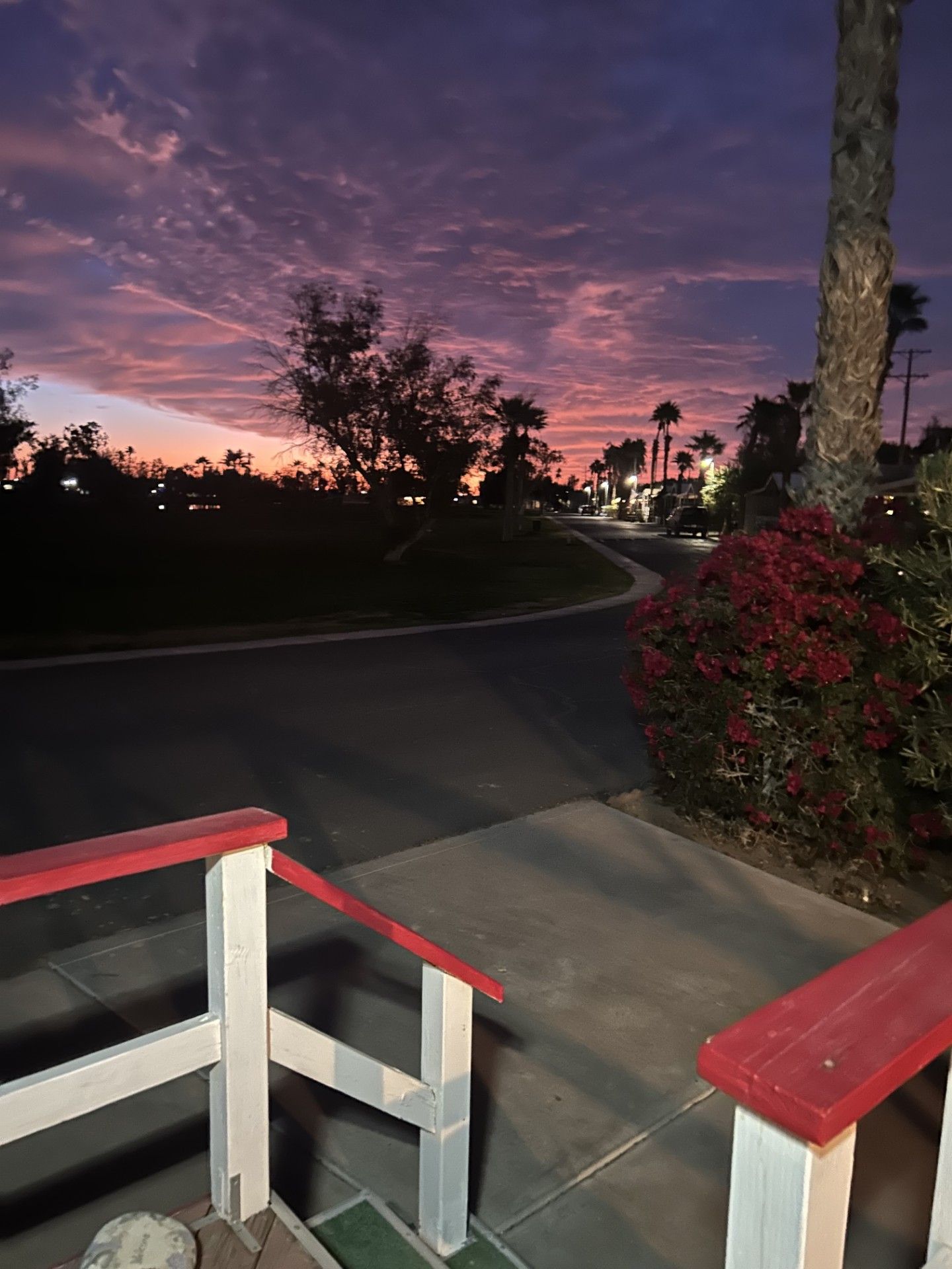 Sunset over a road with palm trees. Red and white handrails in the foreground. Pink and purple sky.