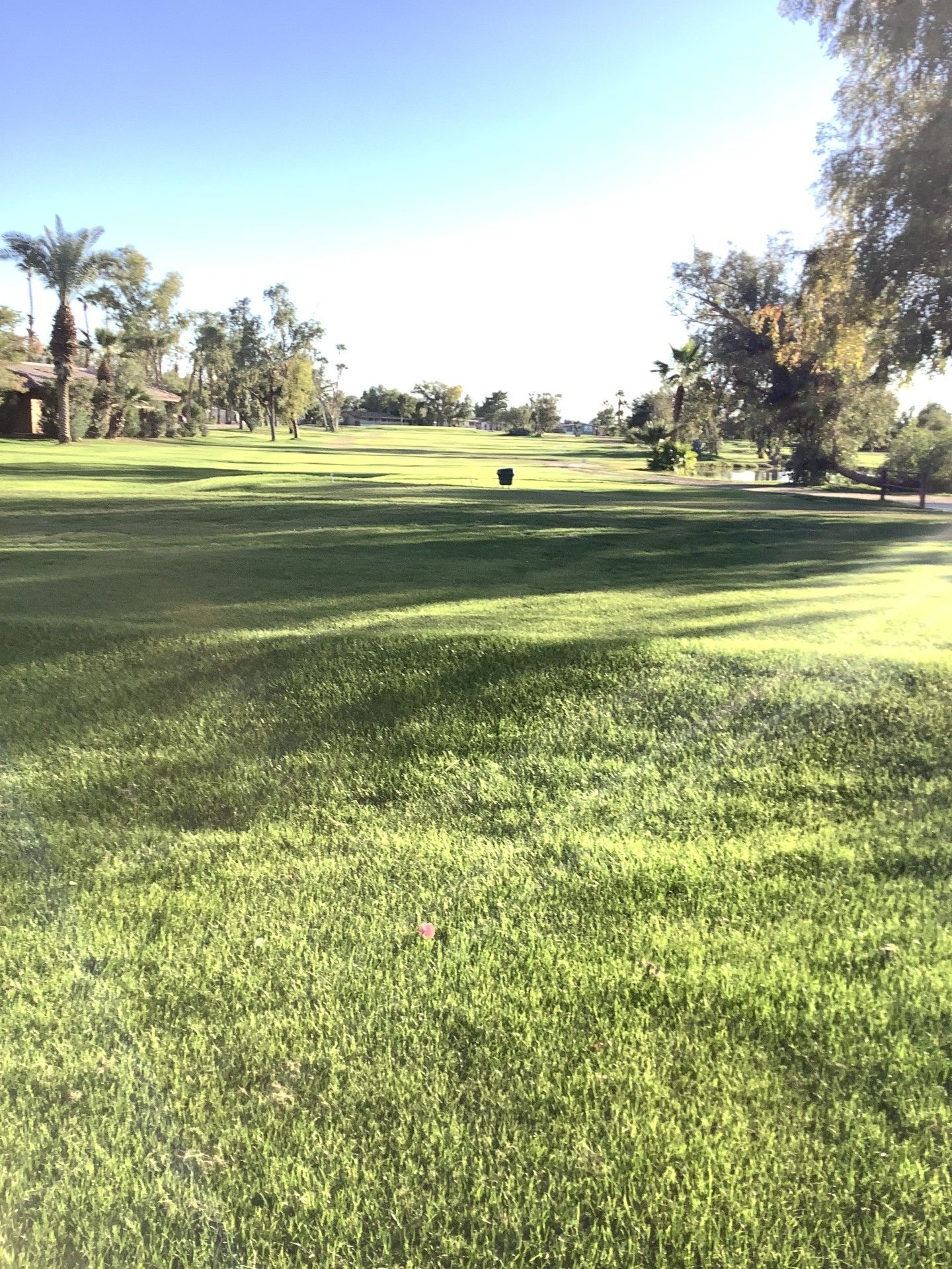 Lush green golf course under a clear blue sky, with trees and buildings in the background.