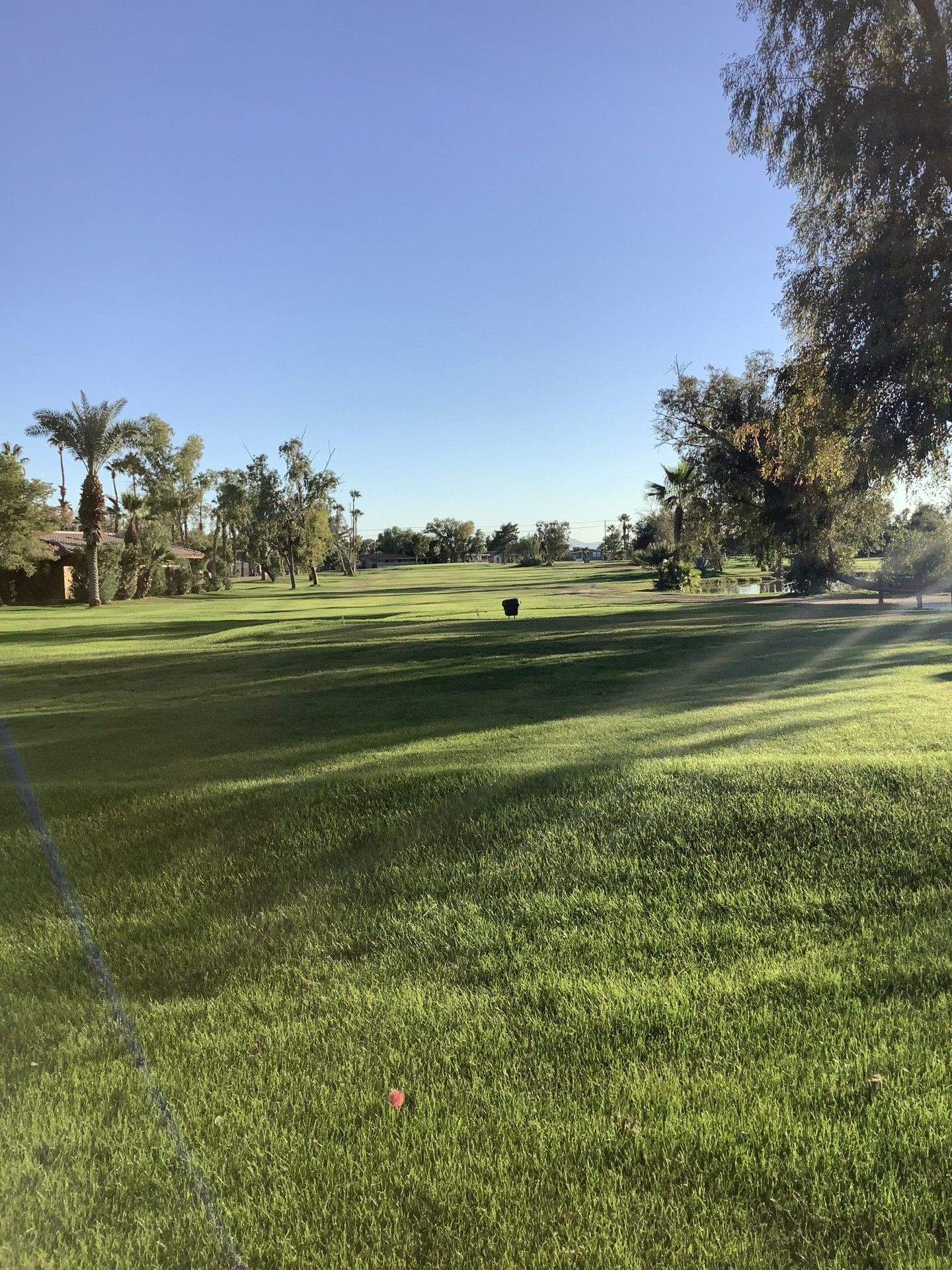 Grassy golf course on a sunny day with trees and a clear blue sky.