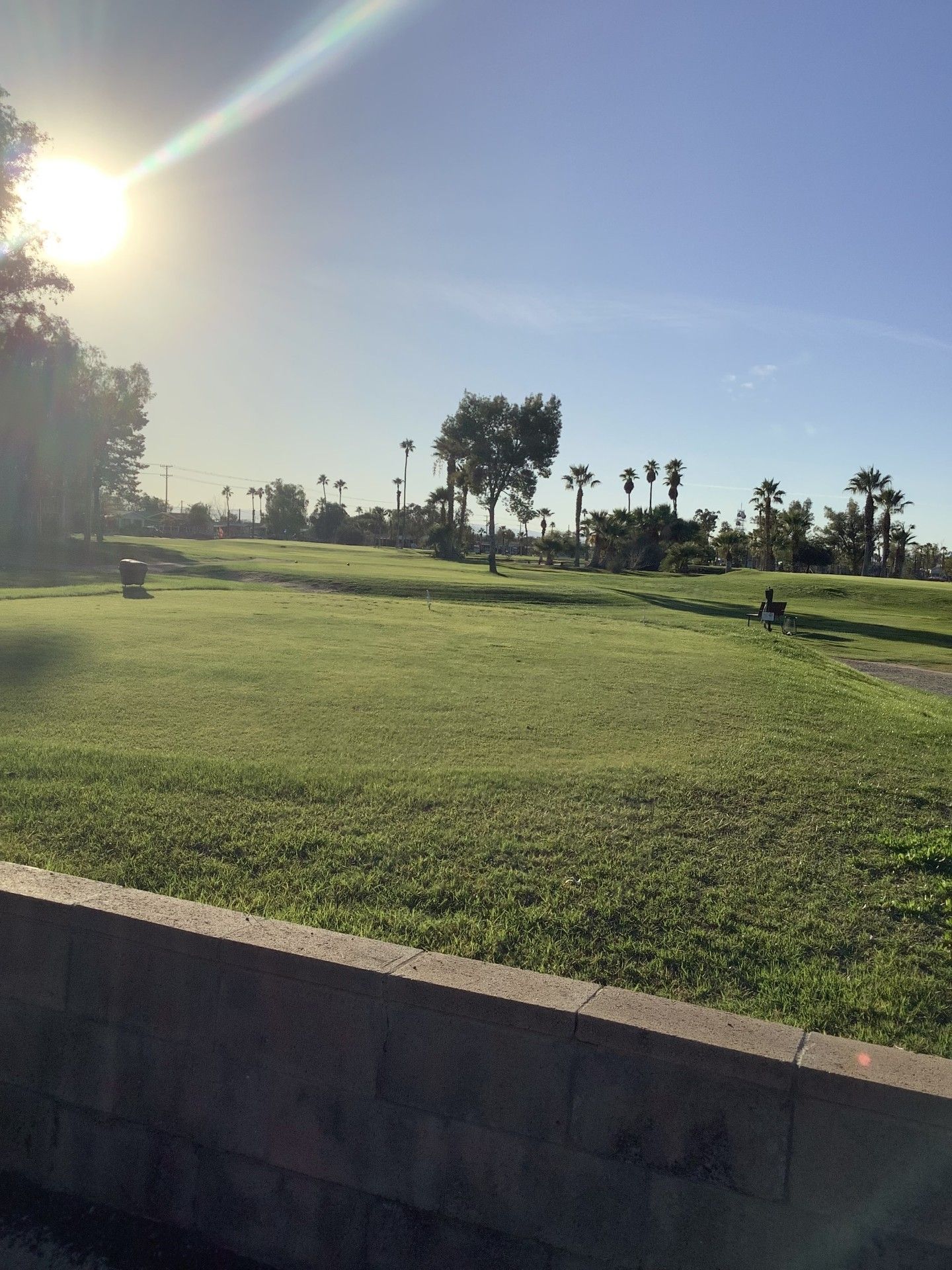 A golf course with green grass, trees, and bright sunlight.