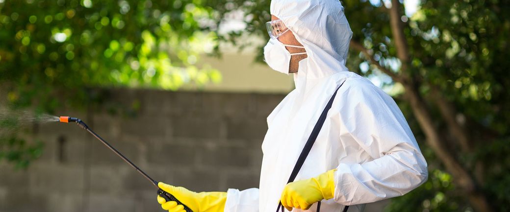 Disinfestazioni e derattizzazioni a Roma