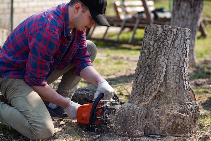 A man is cutting a tree stump with a chainsaw.