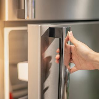 Opening The Fridge — Albion Park, NSW — Prime Appliance Service