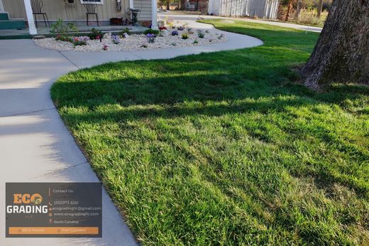 Green lawn next to a curved concrete path and flower bed. A tree shades part of the grass.