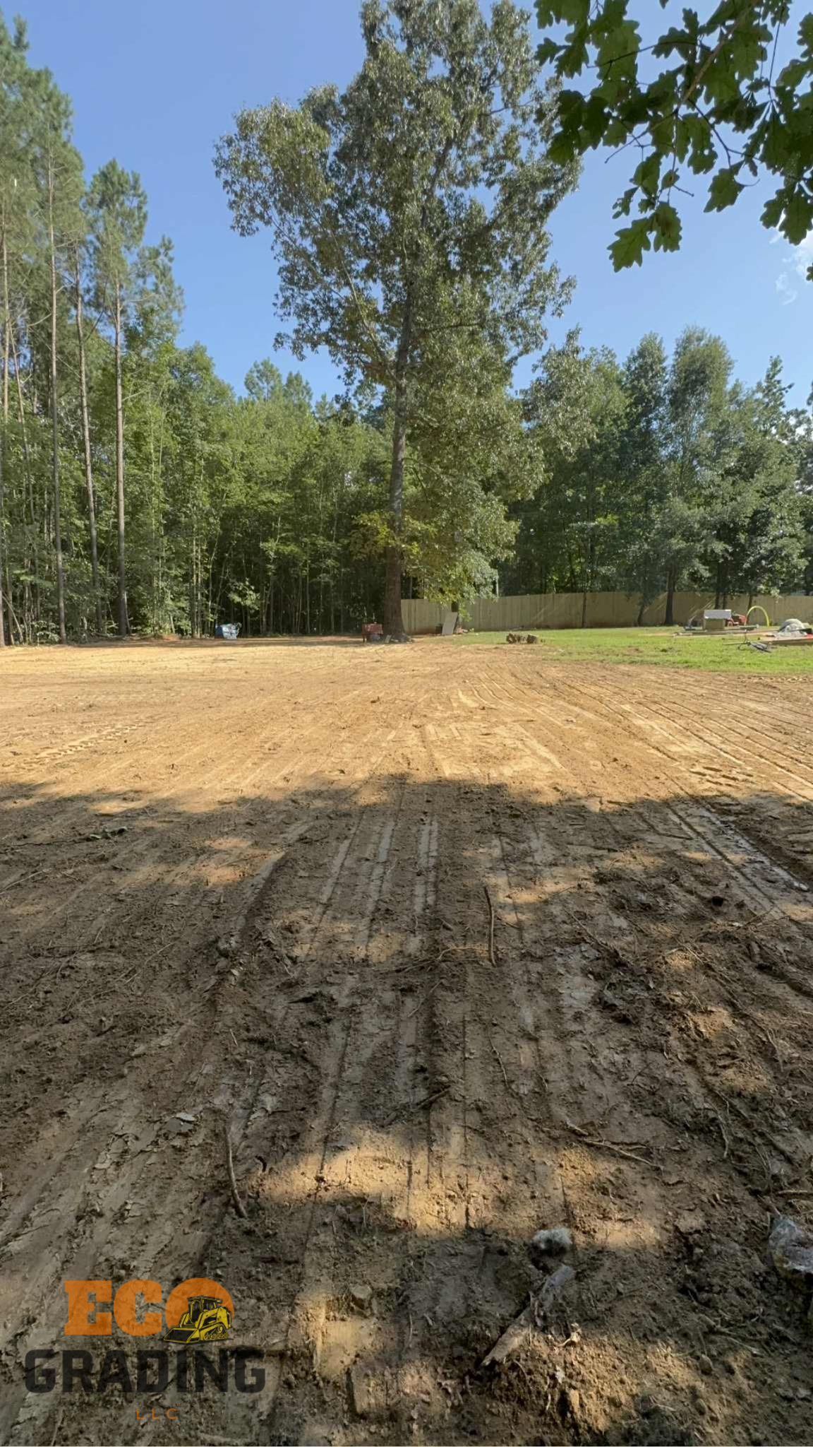 Dirt lot, recently graded. Large tree stands in the center, surrounded by woods and a fence. Bright, sunny day.