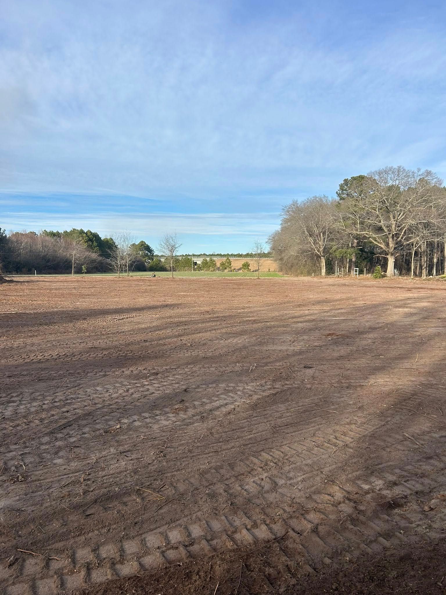 Cleared, brown field with a few trees under a partly cloudy sky.