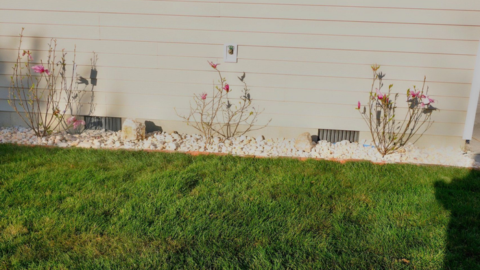 Green grass in front of white wall with small bushes and white pebbles.