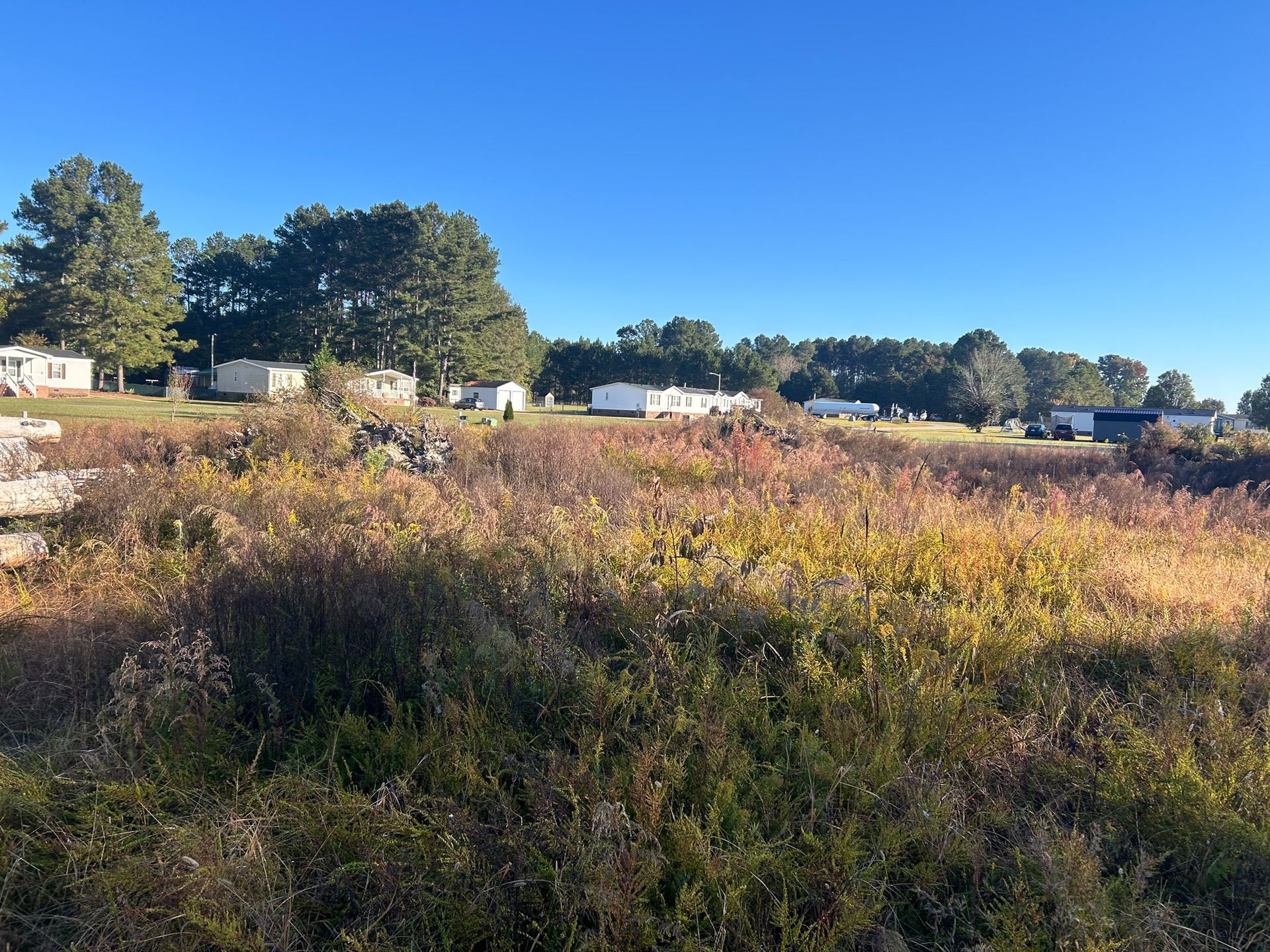 Grassy field in front of mobile homes under a clear blue sky.