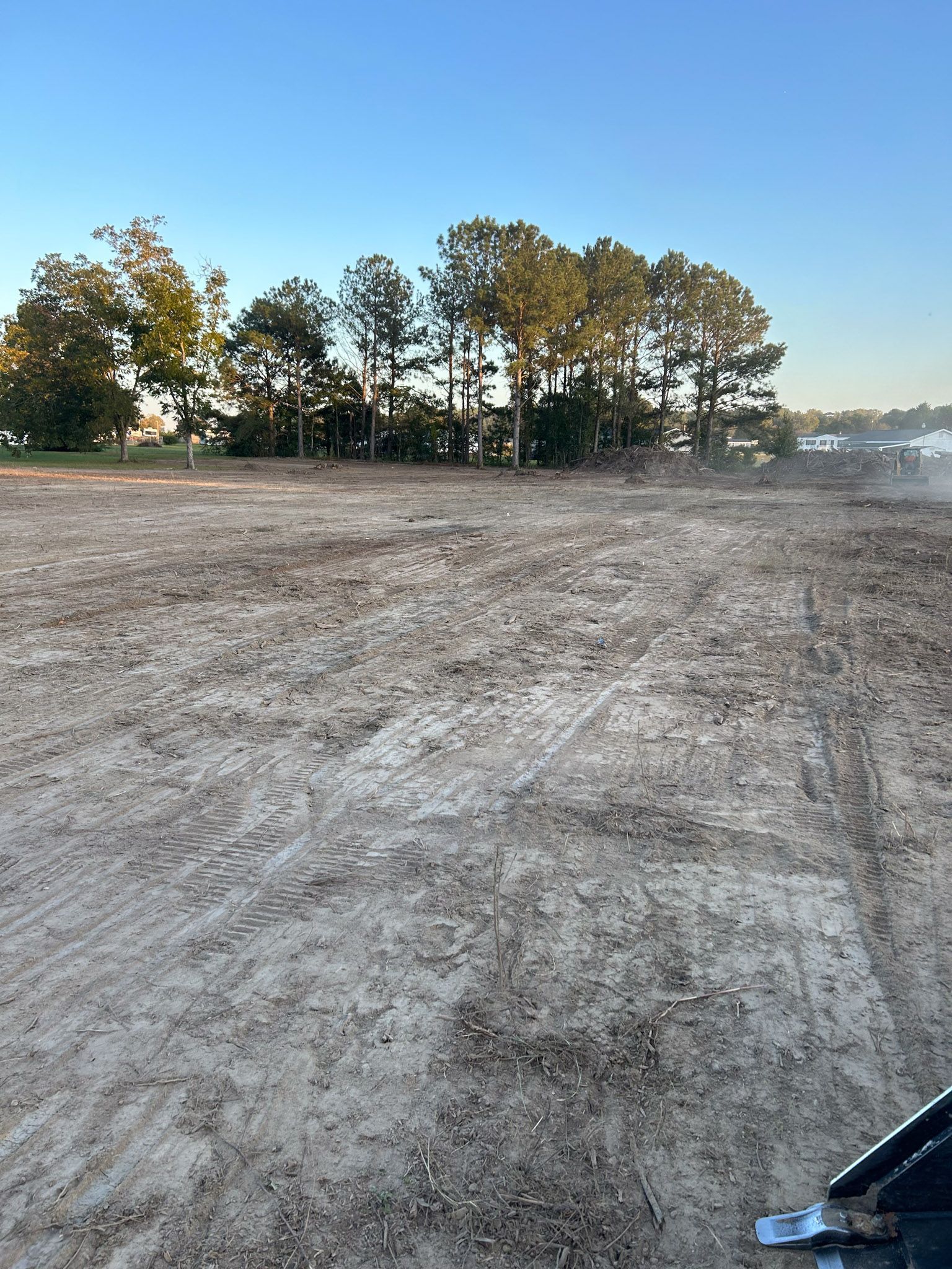 Cleared land with trees in the background under a blue sky.