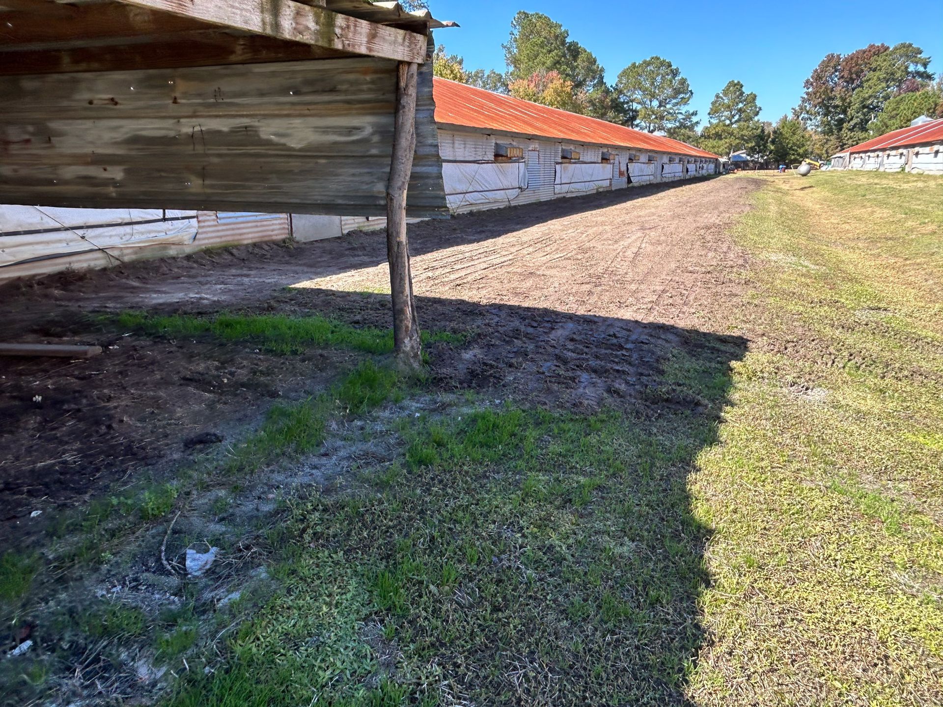 Long row of weathered wooden structures with orange roofs, on a gravel pathway, surrounded by grass under a blue sky.