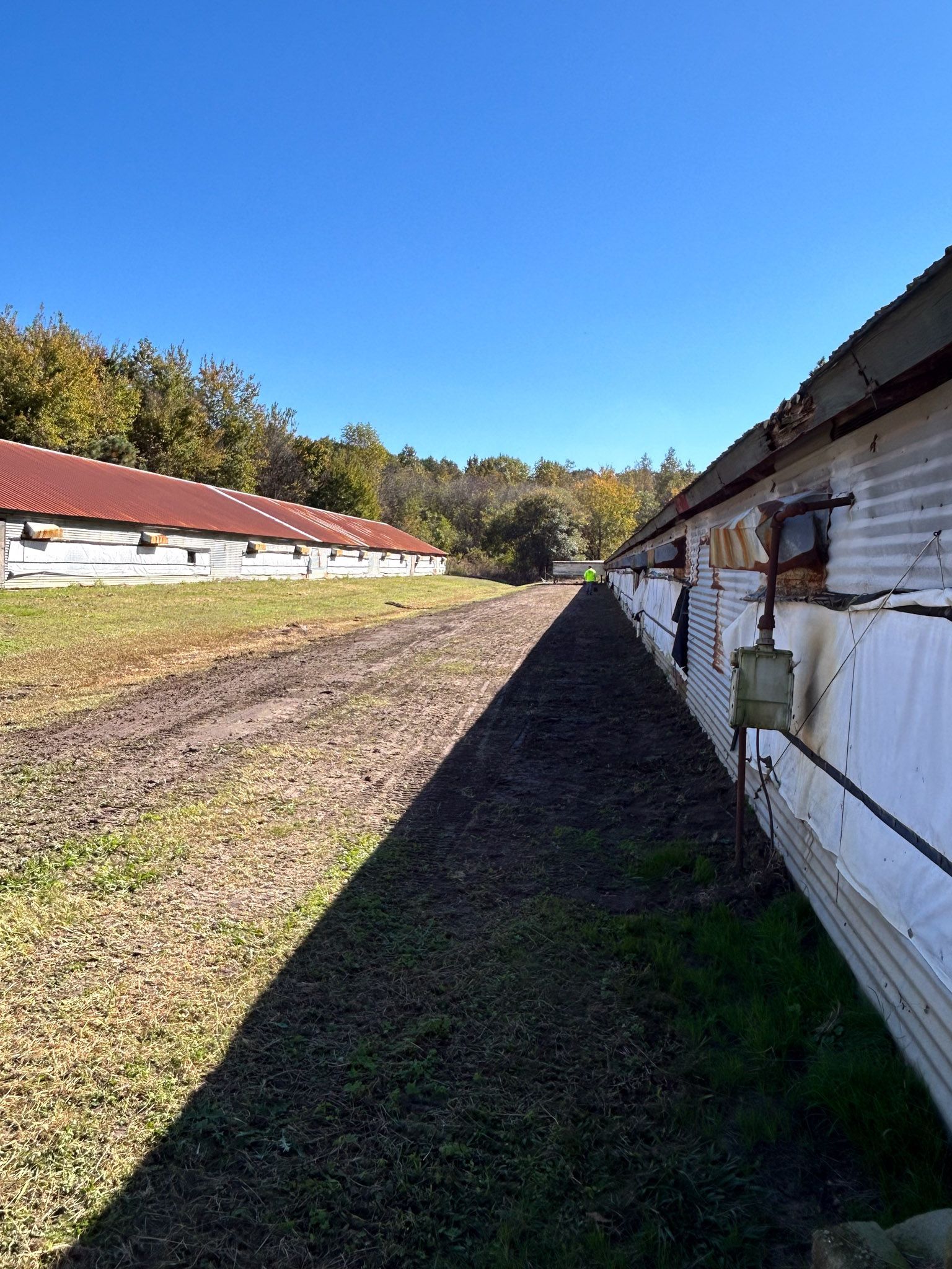 Two weathered corrugated metal buildings with red roofs, and a path of grass and dirt in between, under a blue sky.