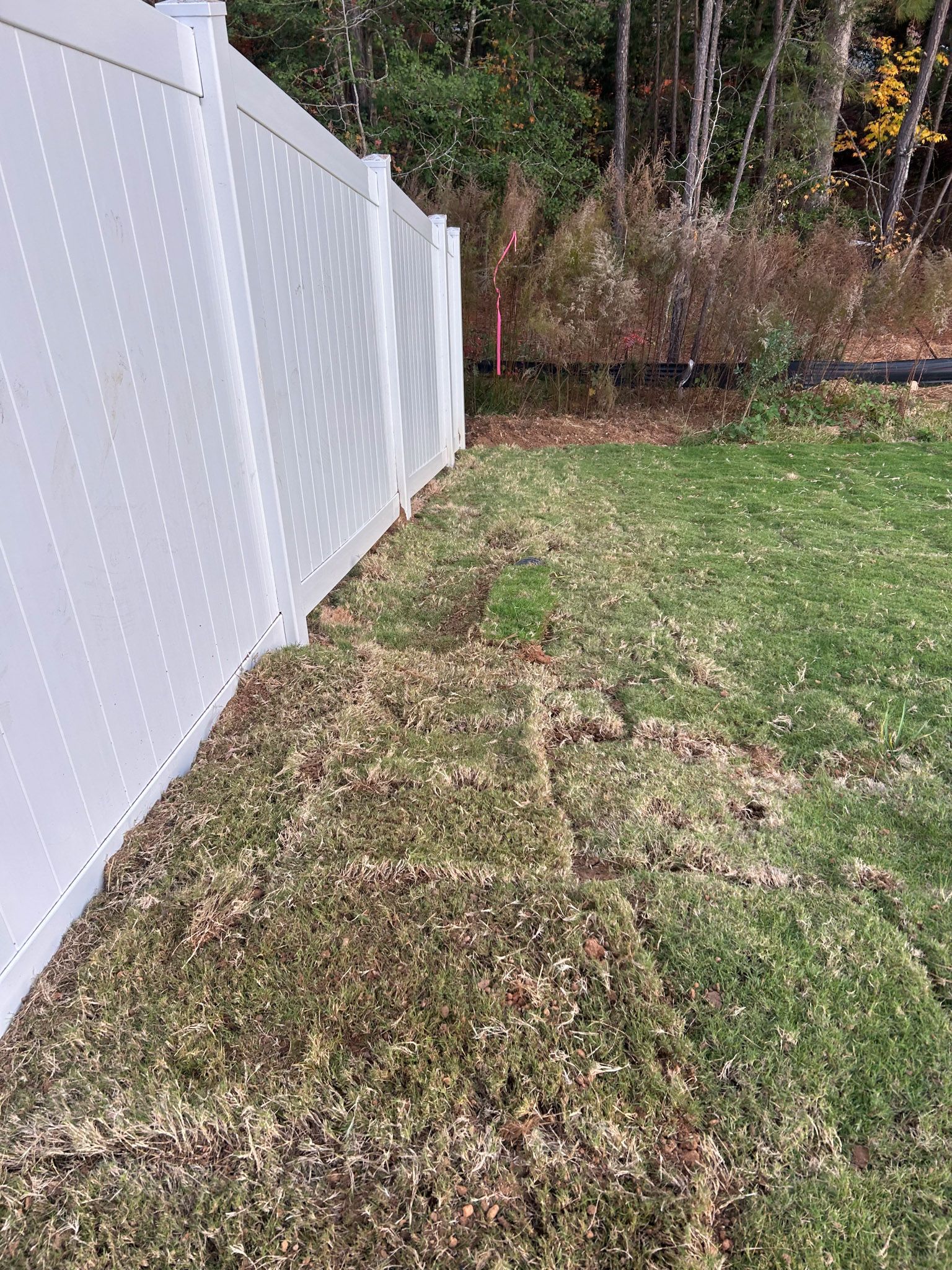White fence borders a yard with a pile of dead grass clippings beside it. Green grass and trees are in the background.