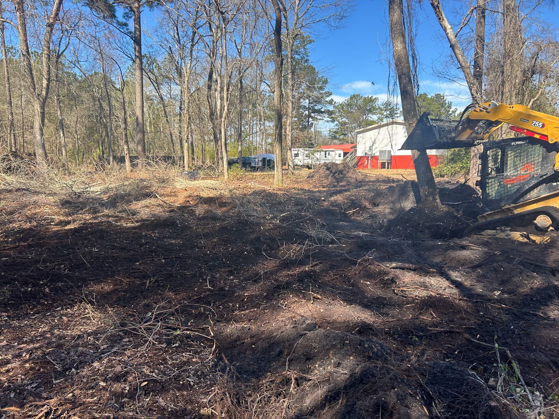 Land clearing with a skid steer in a wooded area. Debris covers the ground; a building is visible in the background.