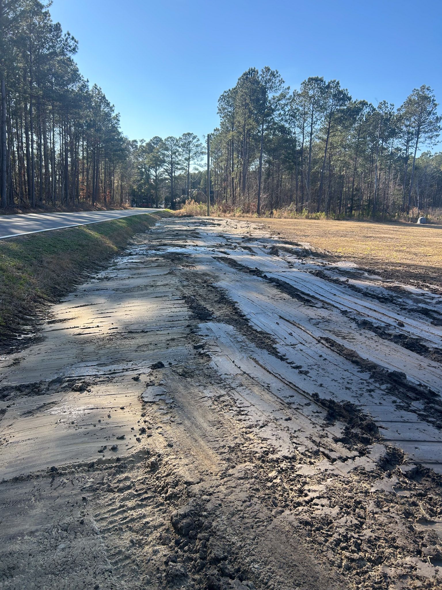 Muddy dirt road with tire tracks, trees in background, sunny day.