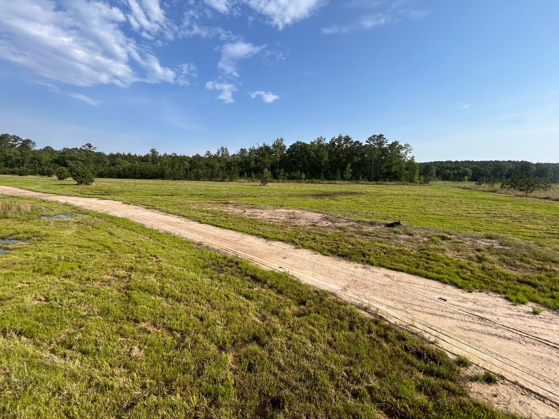 Dirt road through a grassy field towards a tree line, under a blue sky with clouds.