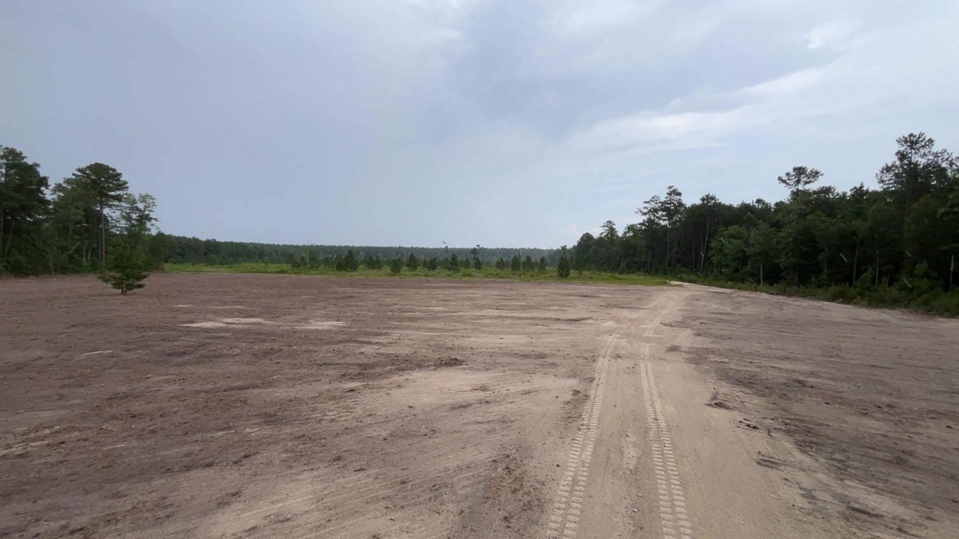 Cleared land with dirt road, surrounded by trees under a cloudy sky.