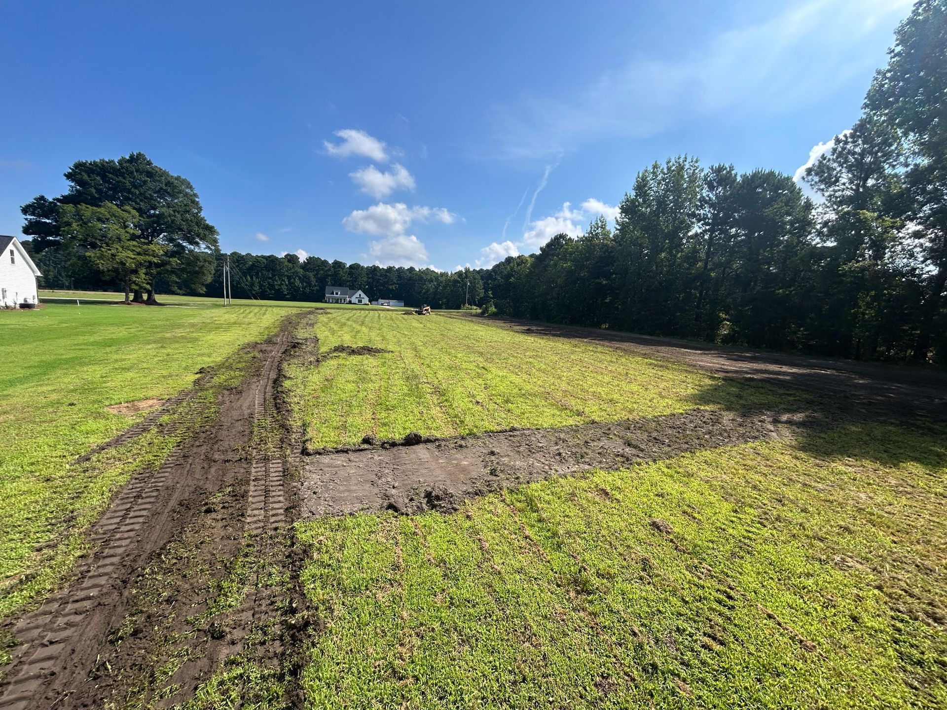 Dirt path and cleared sections in a grassy field, trees in background, sunny day.