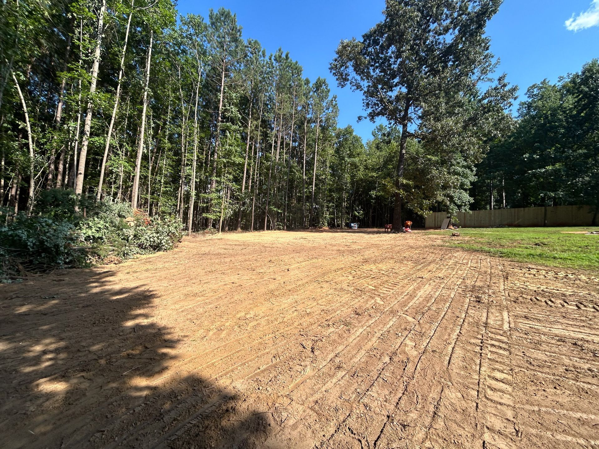 A cleared dirt lot in front of a forest, with tire tracks visible. Blue sky.