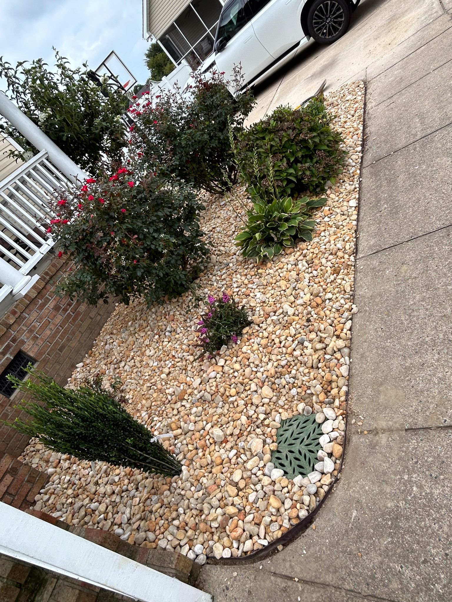 Landscaped garden bed with rocks and flowering plants beside a white car on a driveway.