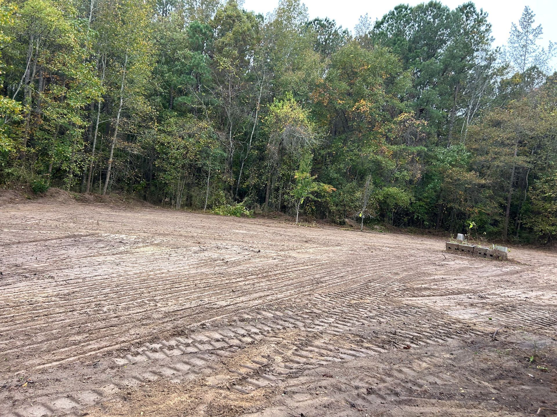 Clearing for construction with tire tracks; trees in background.