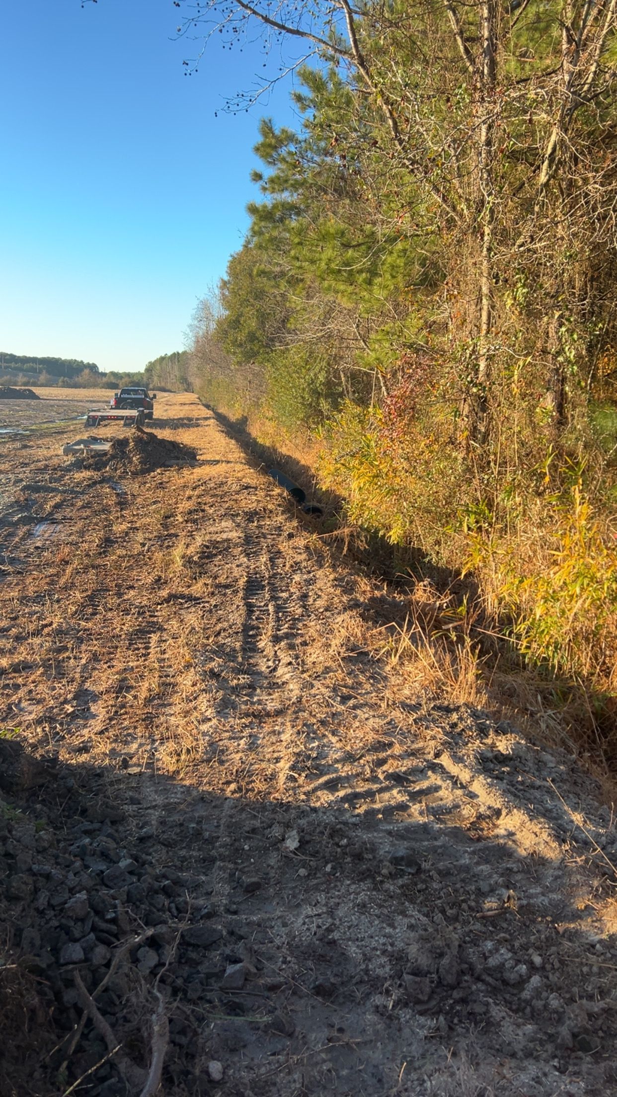 Cleared dirt path next to a line of trees on a sunny day. A vehicle is at the end of the path.