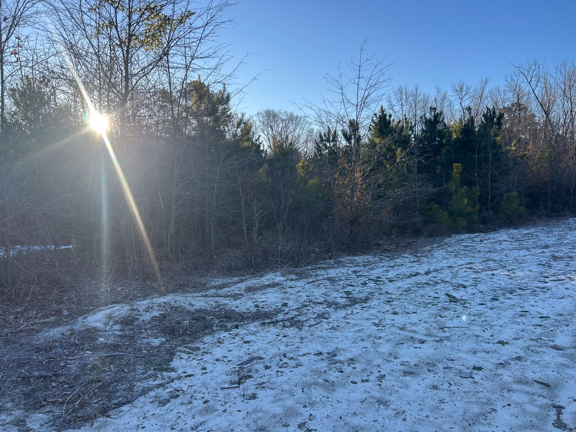 Sun shining through trees onto a snow-covered dirt path.