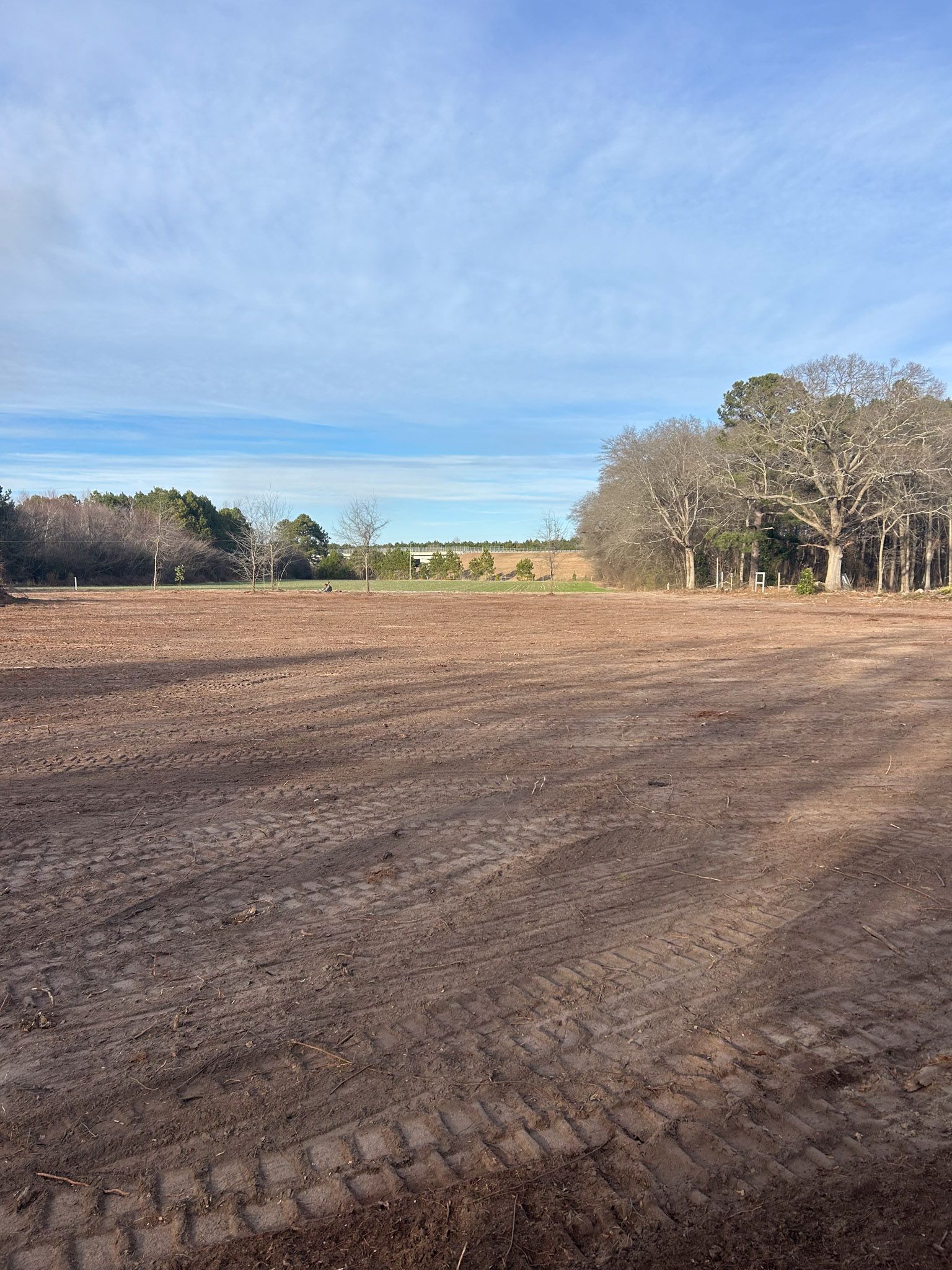 Cleared field with brown soil, trees on the edges, and a blue sky with clouds.