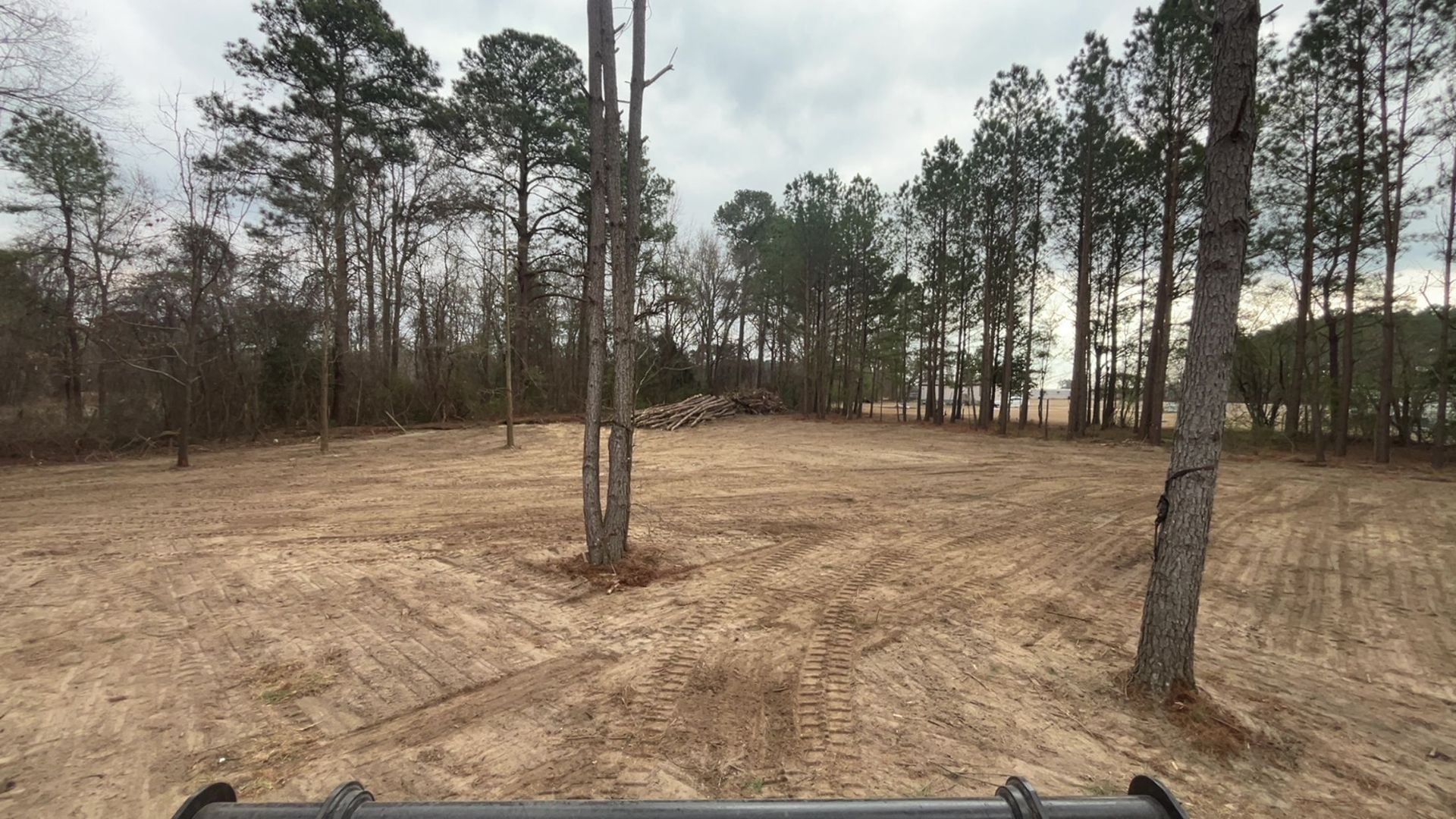 Cleared lot with scattered trees, surrounded by woods, overcast sky.