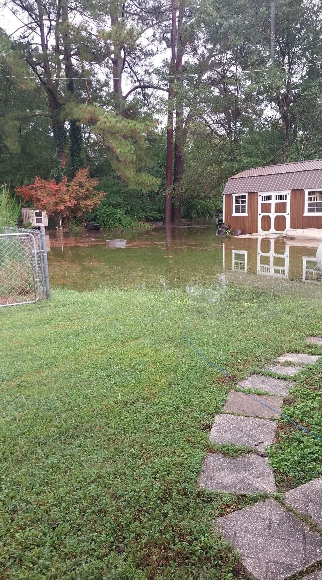Backyard with a brown shed, green grass, and a stone walkway. A red-orange tree is in the distance.