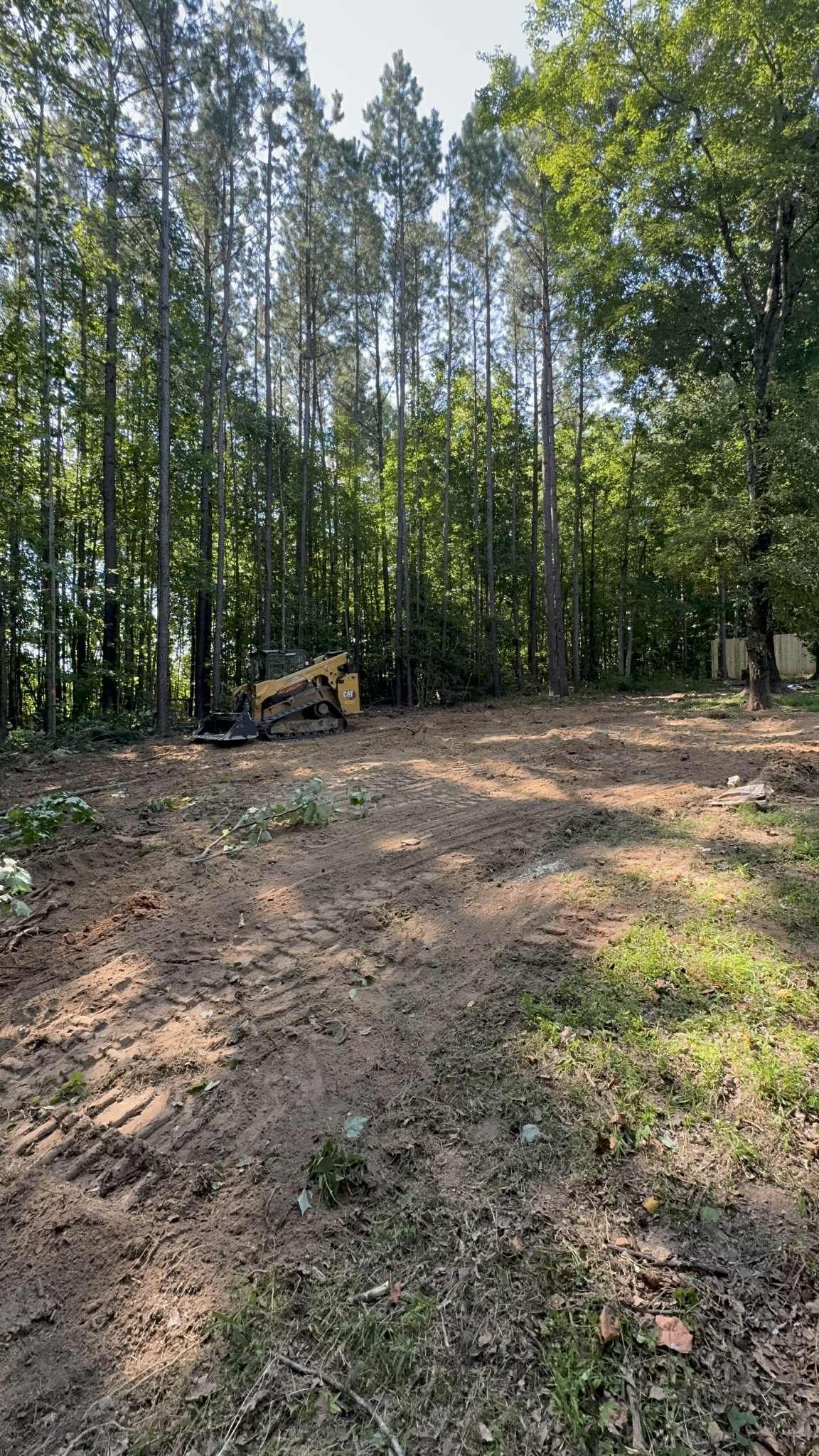 Clearing in front of trees, small bulldozer visible; brown dirt and green trees.
