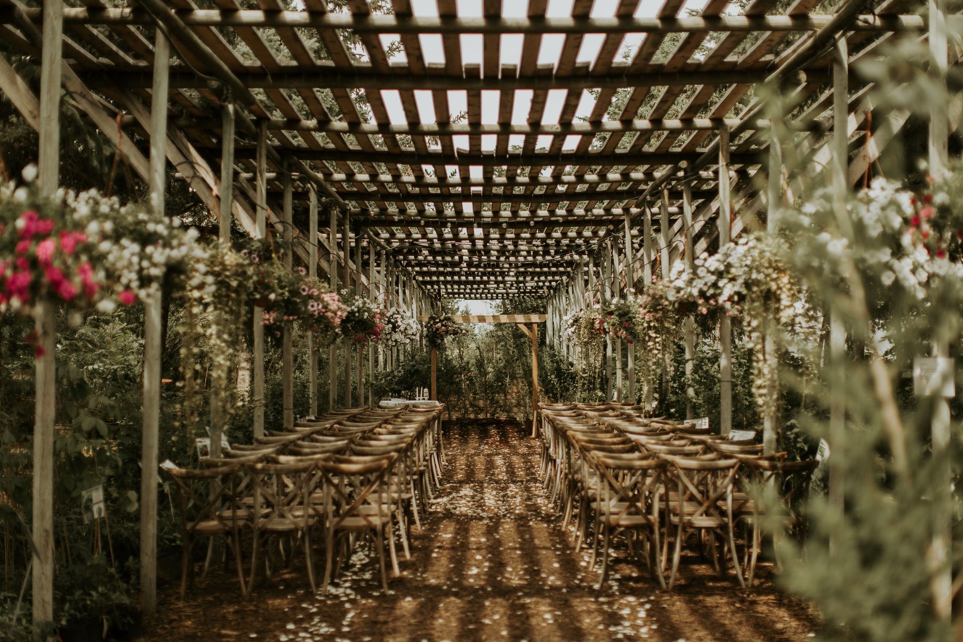 Wedding ceremony set up with wood chairs under a long wood pergola at the Saskatoon Farm.