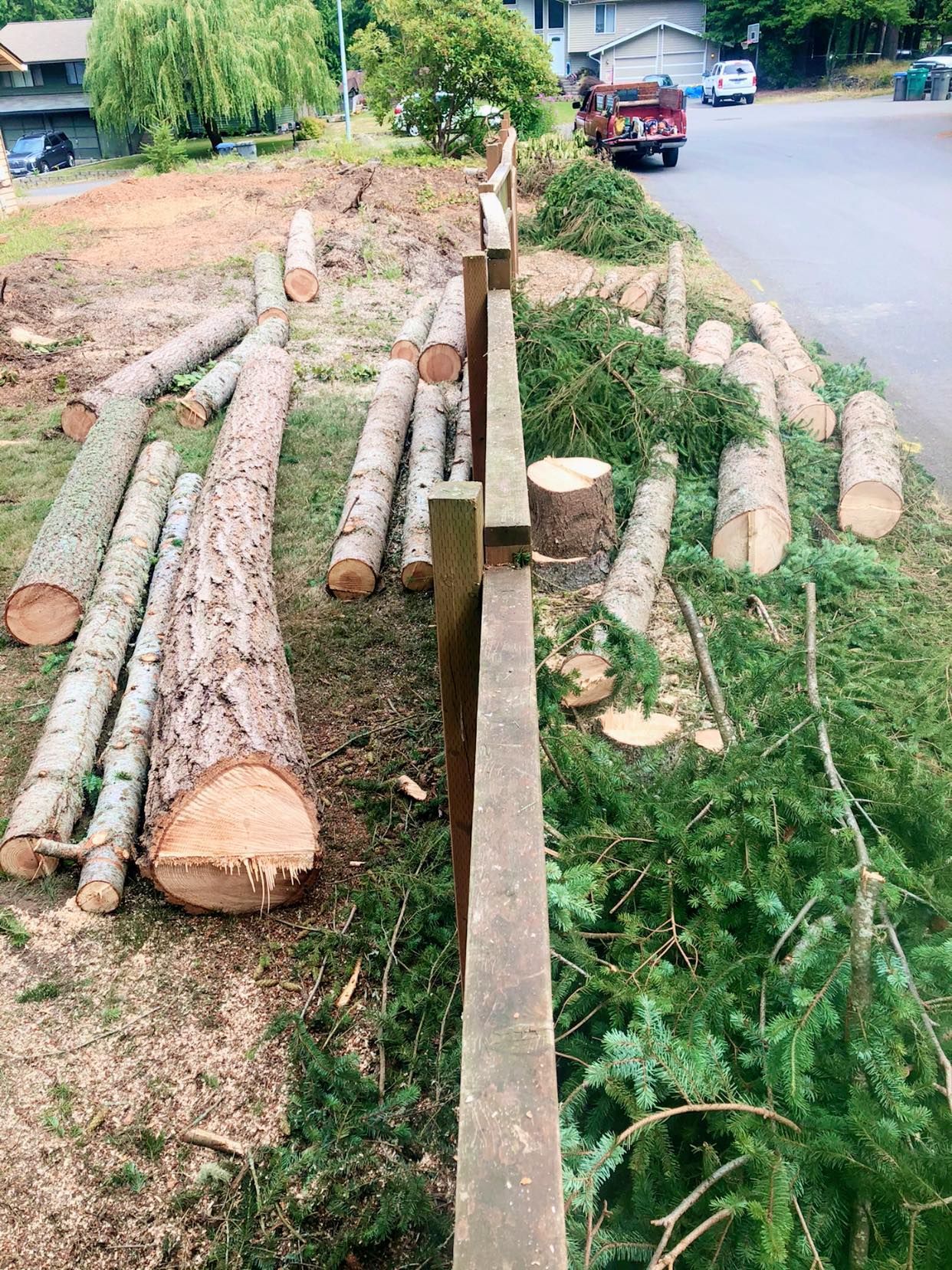 A pile of logs sitting next to a wooden fence.