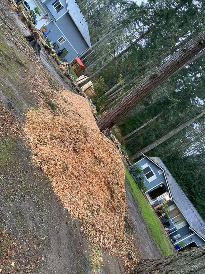 A pile of wood chips next to a tree stump in front of a house.