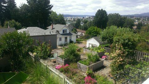 An aerial view of a residential area with houses and trees