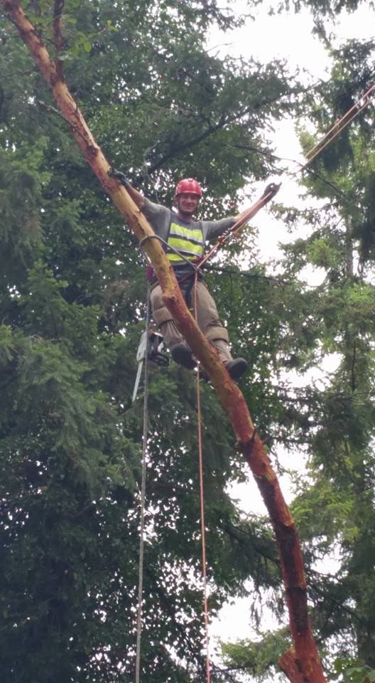 A man is hanging from a tree branch with his arms outstretched.