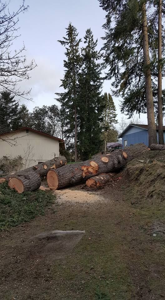A pile of logs sitting on top of a grassy hill next to a house.