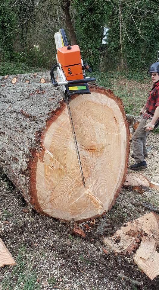 A man is cutting a large log with a chainsaw.