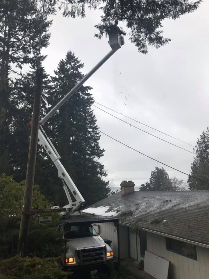A truck with a crane attached to it is cutting a tree in front of a house.