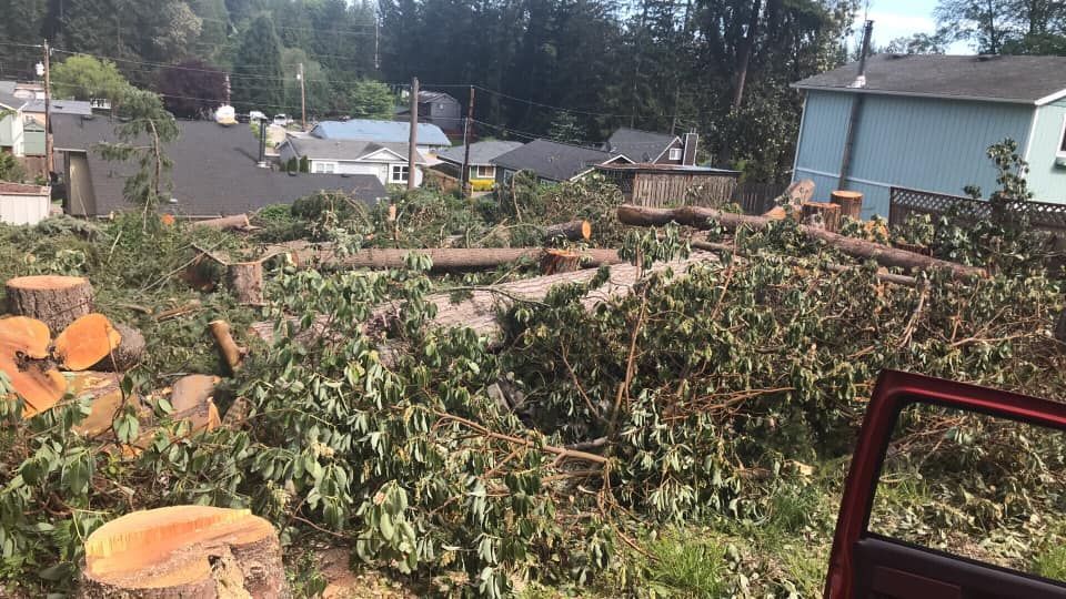 A car is parked in front of a pile of fallen trees.