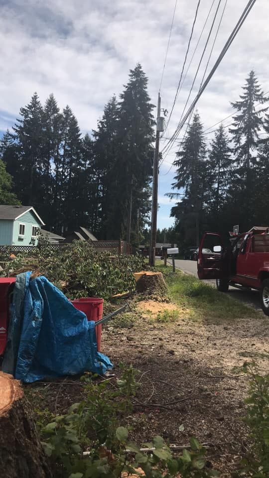 A red truck is parked on the side of the road next to a tree stump.