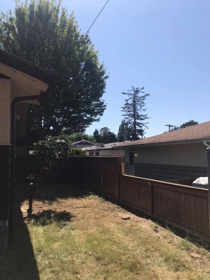 A backyard with a wooden fence and a house in the background