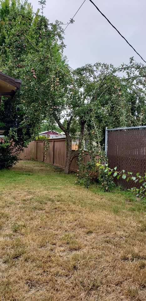A backyard with a fence and trees in the background.