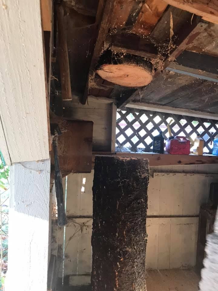 A wooden beam is being removed from the ceiling of a building.