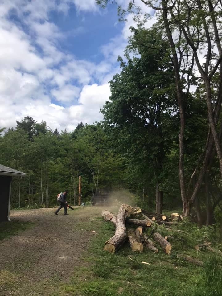 A person is walking down a dirt road in the woods.