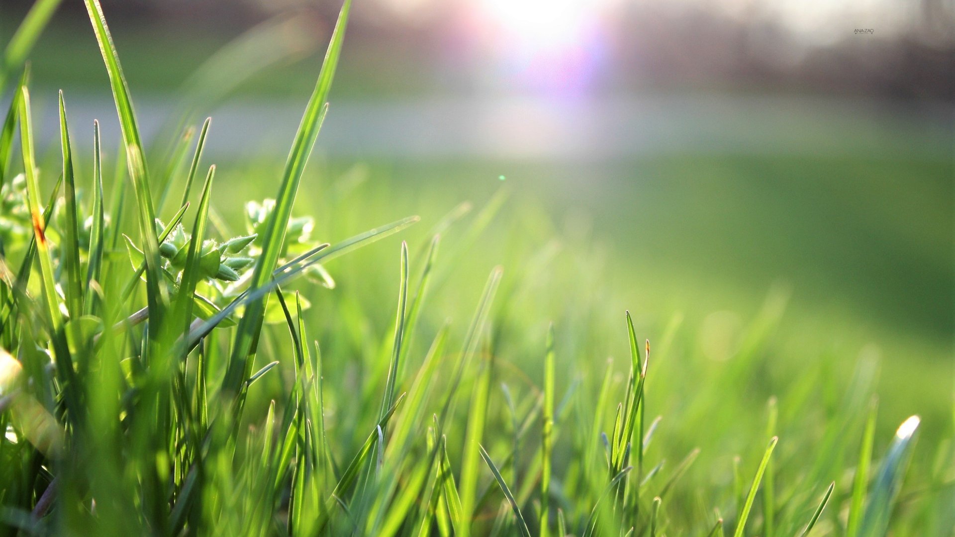 Image features outdoor space to improve mental health. 