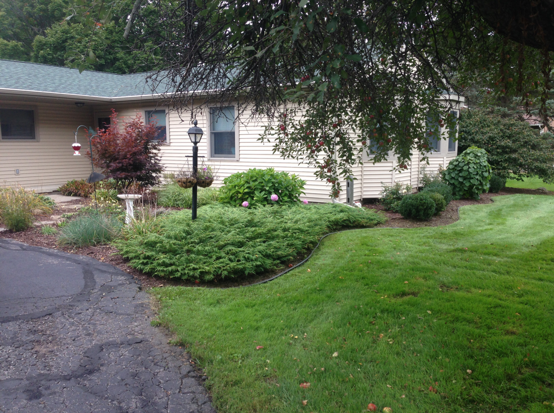 A tan house with a green roof, a landscaped yard with bushes, and a curved driveway.