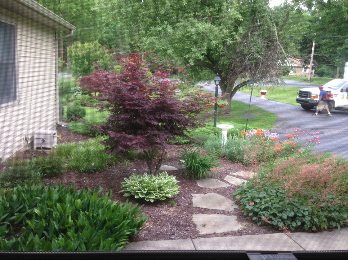 A well-landscaped front yard with a red Japanese maple tree, stone path, and colorful flowers.