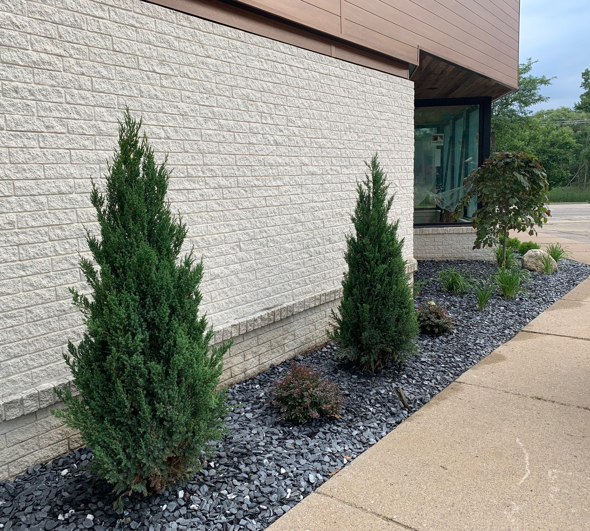 Two green evergreen trees and various shrubs along a building with a black stone bed.