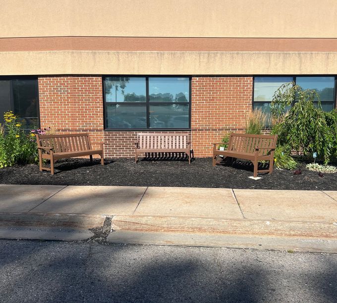 Three wooden benches in front of a brick building with windows, surrounded by plants and black mulch.